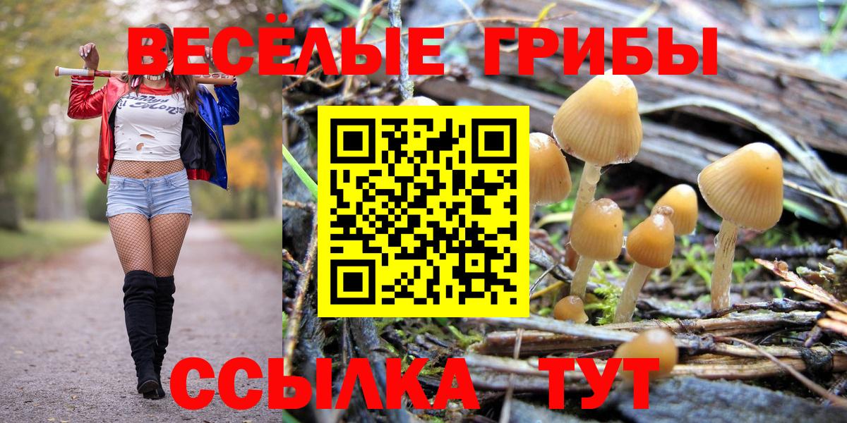 Псилоцибиновые грибы Cubensis  Вход с VPN  Кропоткин  Псилоцибиновые грибы Magic Shrooms 