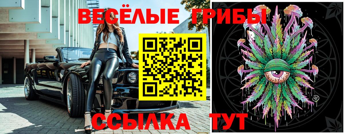 Псилоцибиновые грибы GOLDEN TEACHER Кропоткин